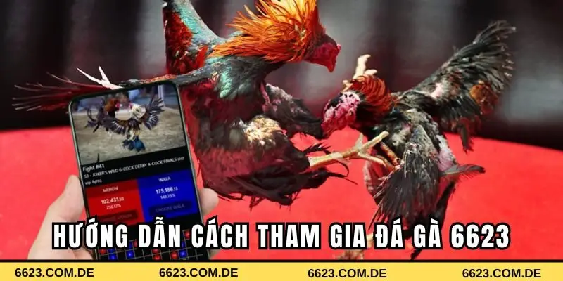 Hướng dẫn chi tiết cách tham gia đá gà 6623