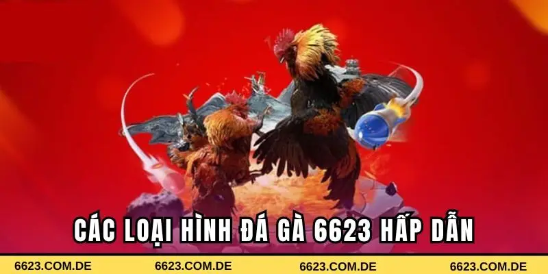 Các loại hình đá gà 6623 hấp dẫn