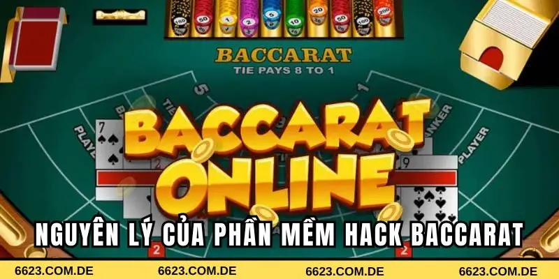 Nguyên lý hoạt động của phần mềm 